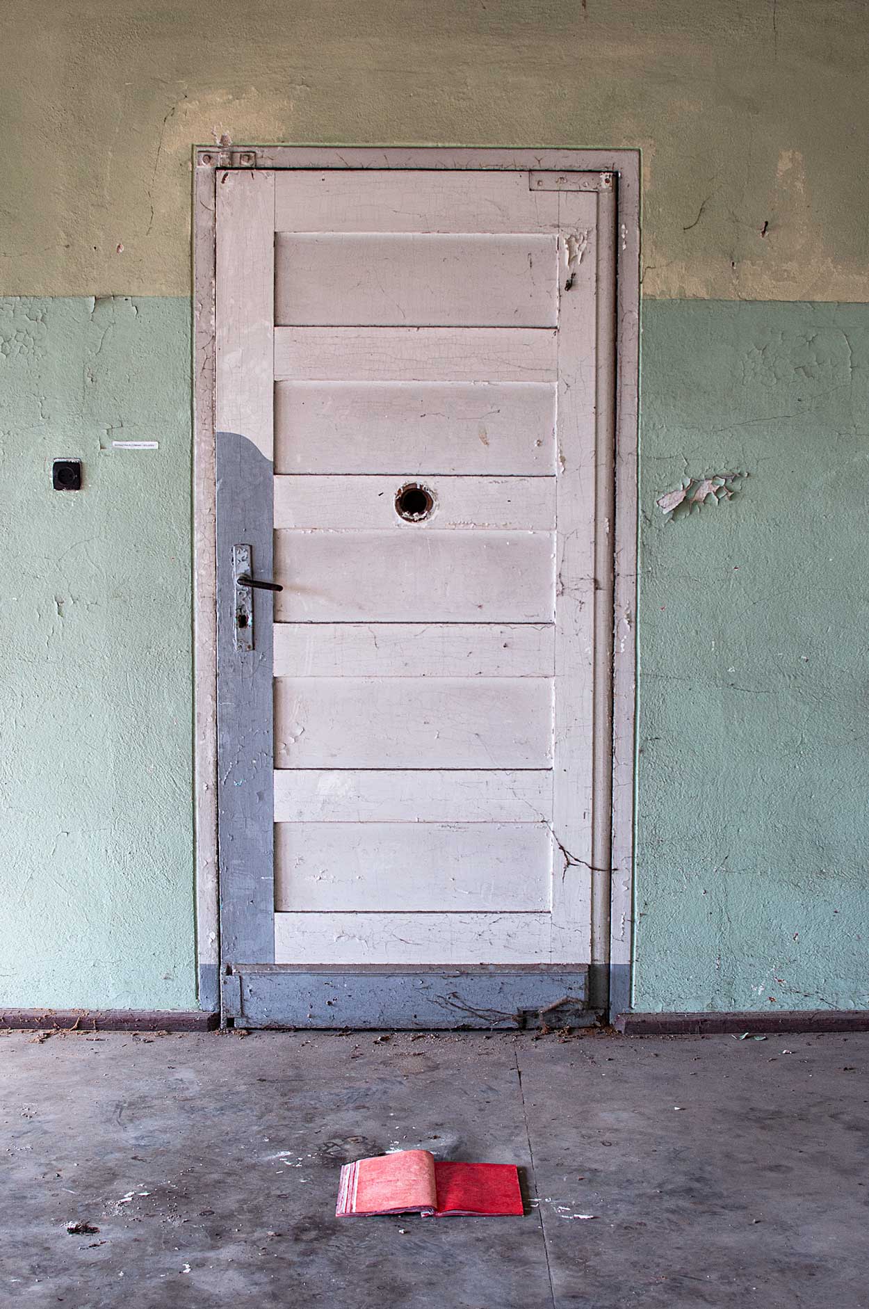 Carola Czeempik-SCHWEIFENDES LICHT 3